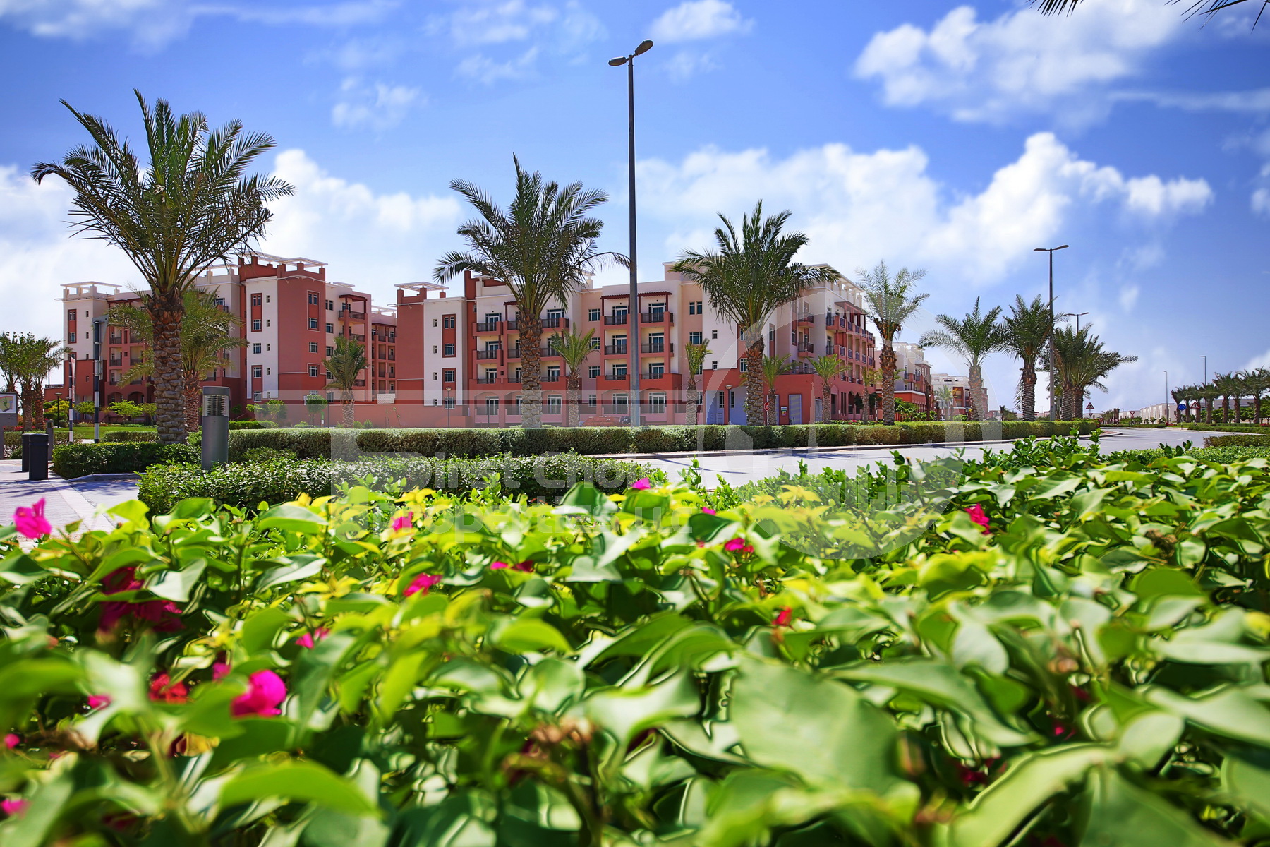 Villa - Apartment - Townhouse - Abu Dhabi - UAE - Al Ghadeer (155).JPG