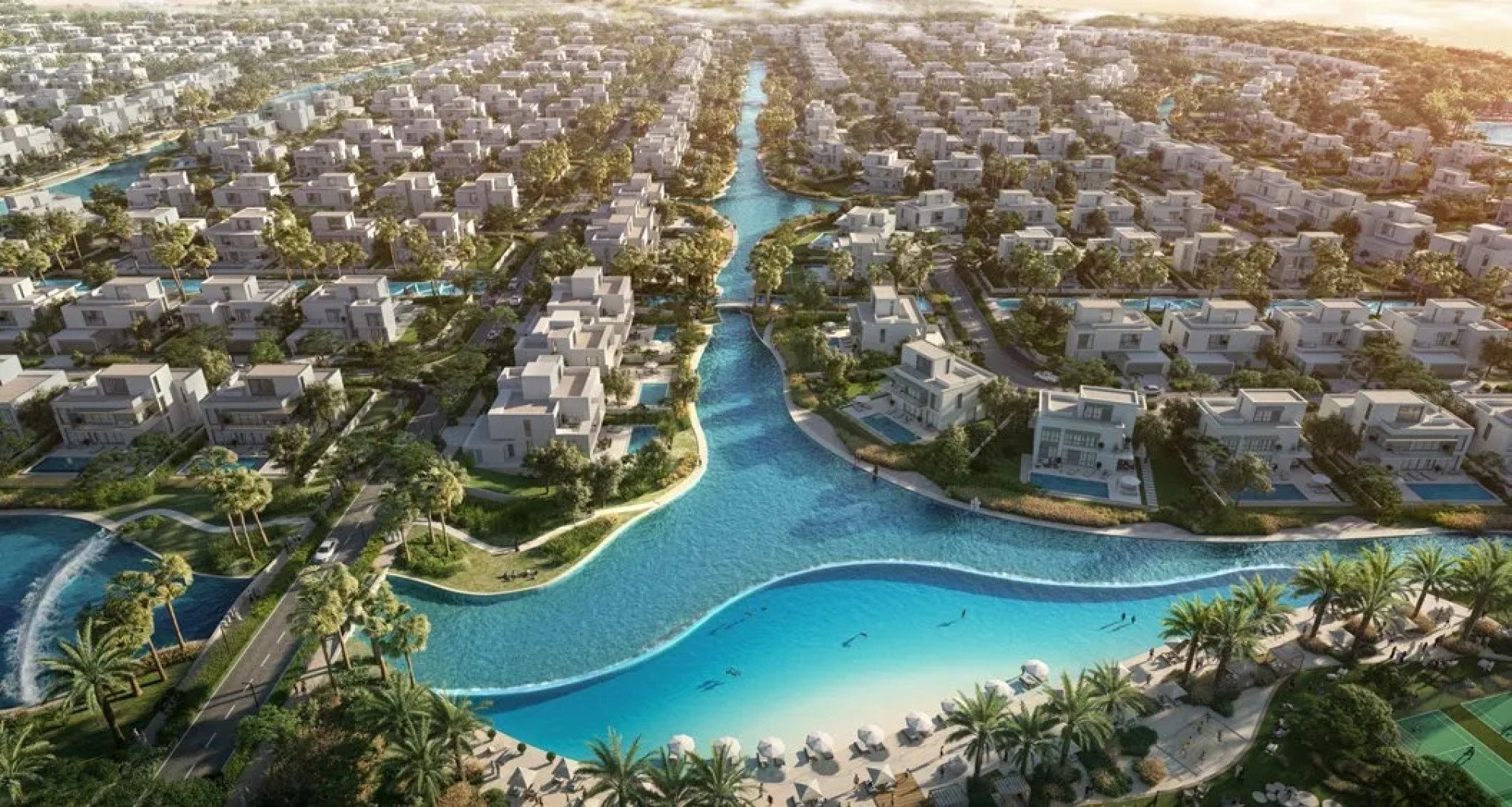 The Oasis - Palmiera Collective